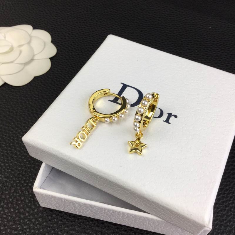 Dior Earring 04lyr239